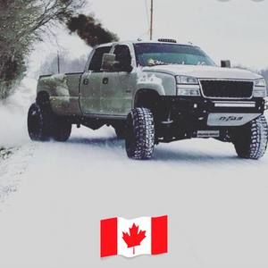 Meet your Posher, Gavin